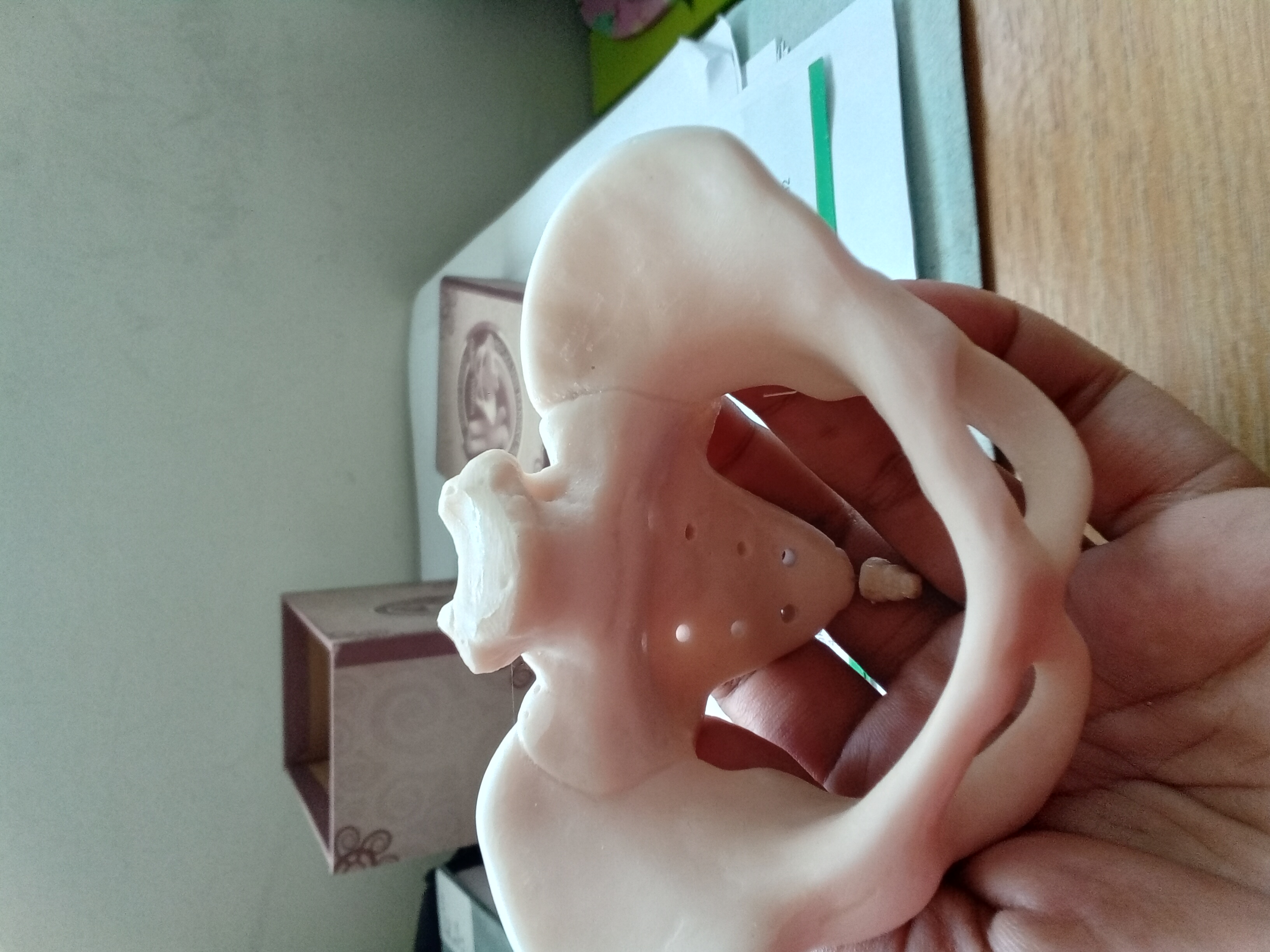 Mini panggul